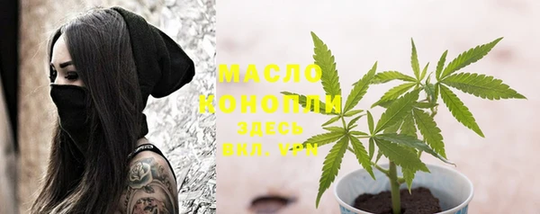 твердый Богданович