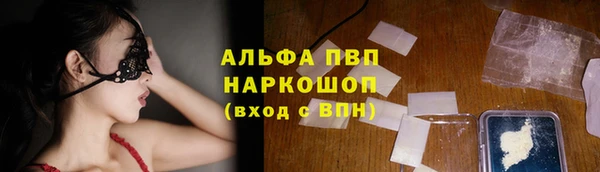 твердый Богданович